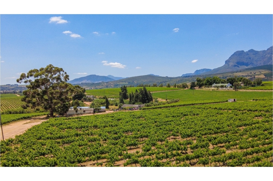 5 Bedroom Property for Sale in Paarl North Western Cape